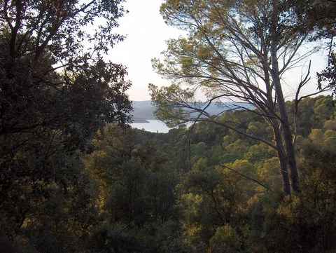 Rue de l'Aramon près de La Genestiere. Vue du Lac du Salagou évoquant une estampe japonaise.
