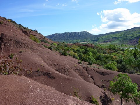 La Ruff au lac du Salagou
