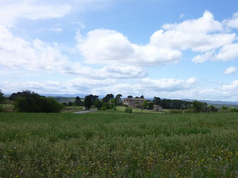 Balade à Aulmes près de Pezenas dans la vallée de l'Hérault