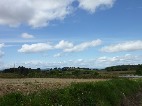 Balade à Aulmes près de Pezenas