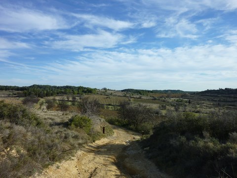 Circuit St Antoine; Dans la vallée de l'Hérault, près de Castelnau-de-Guers et Pézenas.