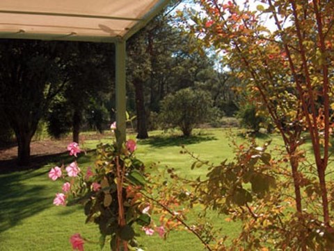 La Genestière-ch-bambou-vue-sur-le-jardin