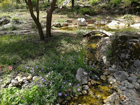 Chambre d hotes La Genestière: le ruisseau