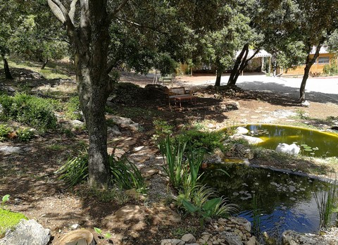 Chambre d hotes La Genestière: les bassins
