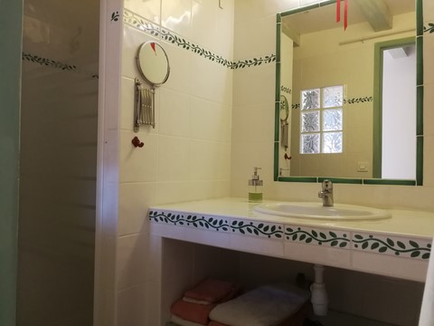 Chambre d'hôtes La Genestière: salle d'eau de la  chambre pinède.
