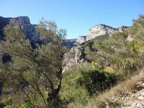 randonnée à Saint-Guilhem-le-Desert