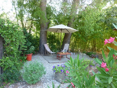 relax sous les pins à La Genestière dans l'Hérault.