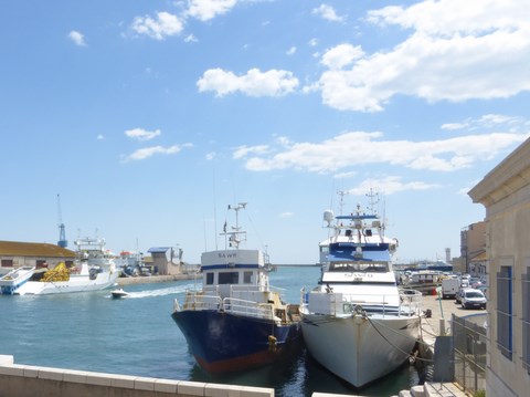Sète, port de pêche