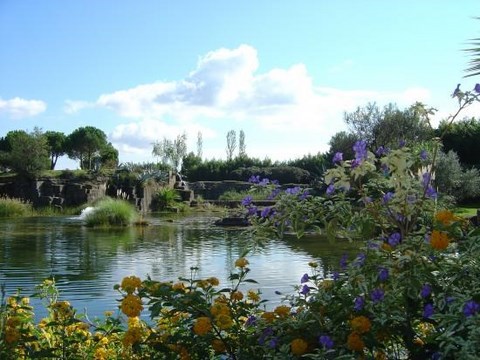 Le jardin de Saint-Adrien; Une halte estivale de fraicheur; Un jardin réalisé dans une ancienne carrière.